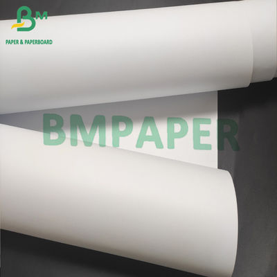 Gulungan Kertas Plotter Lebar 610mm 620mm Untuk Kertas Rekayasa CAD