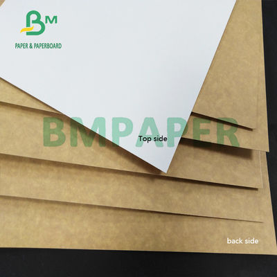 325gsm CCK Tanah Liat Dilapisi Kertas Kraft Kembali Tahan Kelembaban Untuk Kotak Karton Lipat
