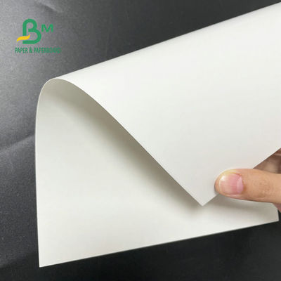 30 X 40 Inci Freezer Paper Roll 12pt 14pt 18pt White C1S Artboard Untuk Mengemas Makanan