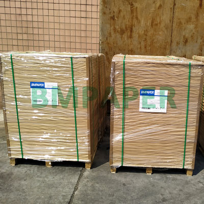 270gsm CKB Kraft Back Board Dilapisi Serat Virgin Kraft Kuat