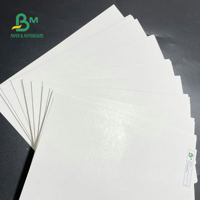 Gulungan Kertas Freezer Satu Sisi Dilapisi 275gsm 325gsm Untuk Kemasan Makanan