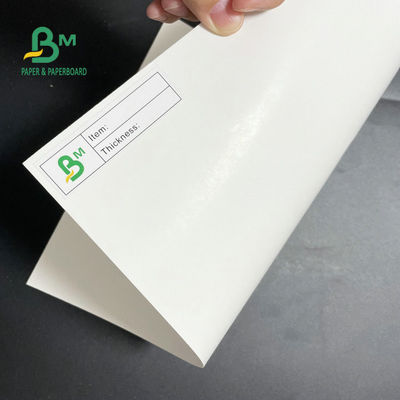 Gulungan Kertas Freezer Satu Sisi Dilapisi 275gsm 325gsm Untuk Kemasan Makanan