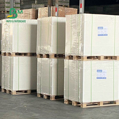 Gulungan Kertas Freezer Satu Sisi Dilapisi 275gsm 325gsm Untuk Kemasan Makanan