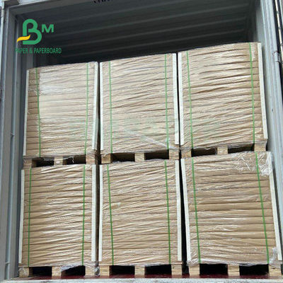 Gulungan Kertas Freezer Satu Sisi Dilapisi 275gsm 325gsm Untuk Kemasan Makanan