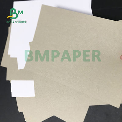 Pulp Daur Ulang C1S Box Board Grey Back Paper 230gsm 250gsm Untuk Pengemasan Obat