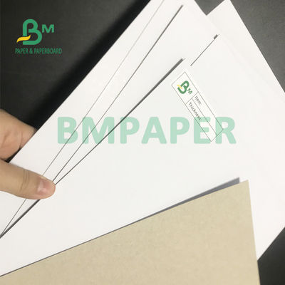200gsm - 500gsm Dilapisi Duplex Board Kekakuan Tinggi Untuk Kotak Kemasan