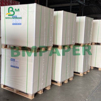 Lembar Kertas Papan Blister 300gsm 450μM Untuk Kemasan Blister Perangkat Keras