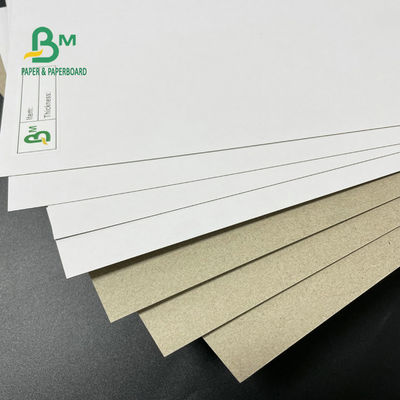 42 Inch Coated Duplex Board Grey Back 350GSM 400GSM 450GSM Untuk Kotak Kemasan