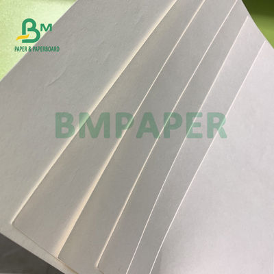 Papan Kertas Cangkir Bleached Aman Dicetak Untuk Cangkir Minuman Panas Dan Es 170gsm + 18gsm
