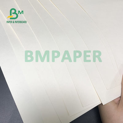 230gsm + 18gsm Papan Kertas Stok Piala Aman Tidak Berbau Khusus Untuk Mangkuk Mie