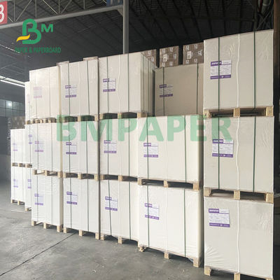 230gsm + 18gsm Papan Kertas Stok Piala Aman Tidak Berbau Khusus Untuk Mangkuk Mie