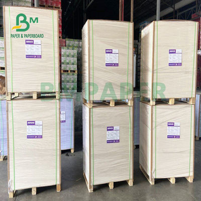 PE Coated Papan Kertas Stok Piala Waterproof Kualitas makanan 150gsm + 13gsm