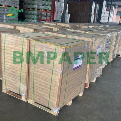 270g Kertas Dilapisi Satu Sisi Untuk Kemasan Makanan Kotak Bawa Pulang Tahan Lipat
