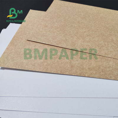 325gsm Uniform White Coated Kraft Back Paper Untuk Kemasan Roti 70 X 100cm