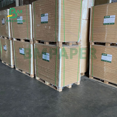 325gsm Uniform White Coated Kraft Back Paper Untuk Kemasan Roti 70 X 100cm