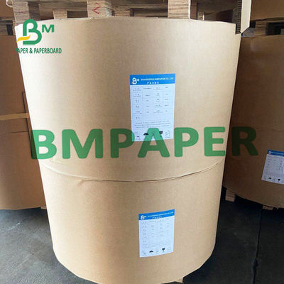 0.5mm Uncoated Blotting Paper Natural White On Roll Untuk Gasket Botol