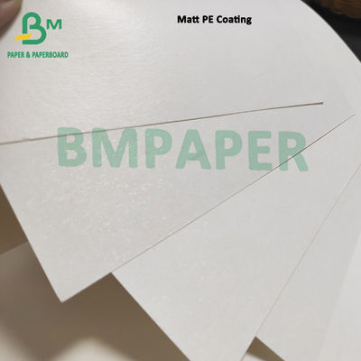 Papan Kertas Stok Cangkir Putih Disesuaikan Dengan 1 PE 2 PE Dilapisi Tidak Dilapisi