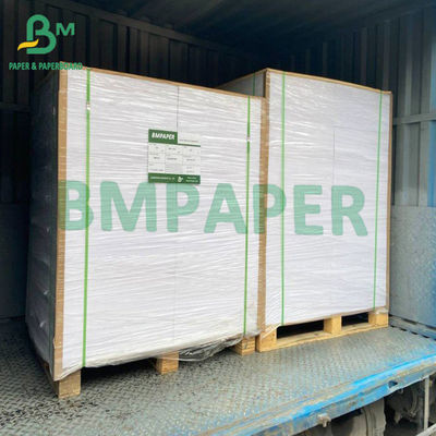 215gsm White Coated Freezer Paper Roll Untuk Kemasan Wadah Makanan