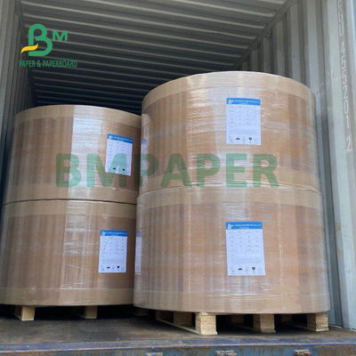 Papan Gulungan Kertas Freezer Putih 270gsm Untuk Kemasan Makanan Segar Massal Tinggi 30 X 22,5"