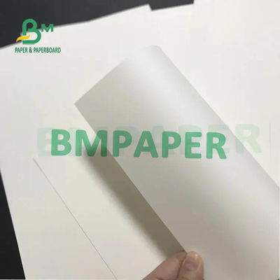 Gulungan Kertas Cangkir Putih 230g 250g 270g + 15g 20g PE Dilaminasi Satu sisi