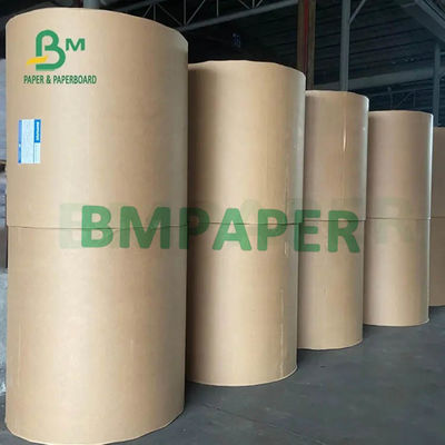 Gulungan Kertas Cangkir Putih 230g 250g 270g + 15g 20g PE Dilaminasi Satu sisi