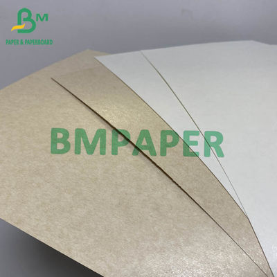 White Matt Papan Kertas Stok Piala Poly PE PLA Dilapisi 150gsm Sampai 330g P1S P2S