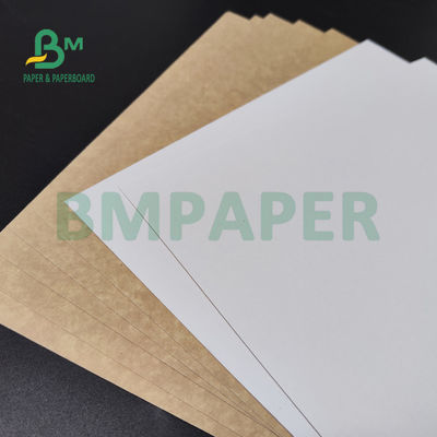 250gsm 300gsm C1S Kraft Back Coated Duplex Board Untuk Salad Box Food Safe