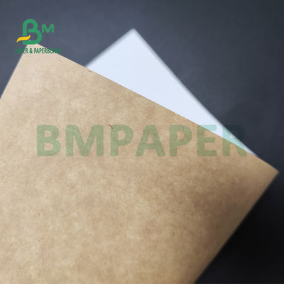 250gsm 300gsm C1S Kraft Back Coated Duplex Board Untuk Salad Box Food Safe