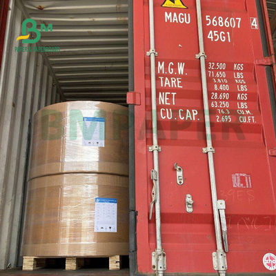 250gsm 300gsm C1S Kraft Back Coated Duplex Board Untuk Salad Box Food Safe