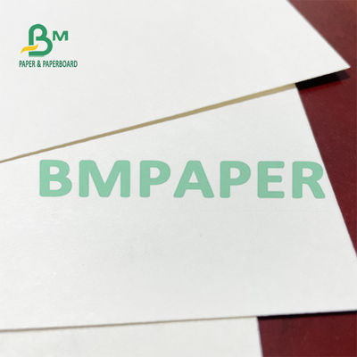 260g Dan 18g PE Dilapisi Kualitas makanan Paper Cup Stock Untuk Membuat Cangkir