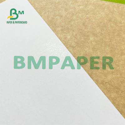 White Coated Kraft Back Freezer Paper Roll 200g 300g Untuk Overpacks Makanan Beku