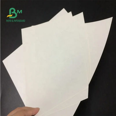 Virgin White Kraft Paper Roll 24 X 35 Inch 150gsm 170gsm 190gsm Untuk Kantong Kertas