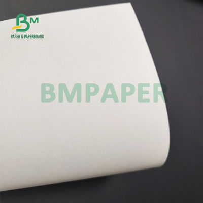 Waterproof 1 PE 2 PE Coated Cupstock Board Untuk Coffee Cafe Ramah Lingkungan 900mm