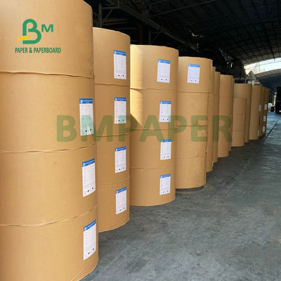 Waterproof 1 PE 2 PE Coated Cupstock Board Untuk Coffee Cafe Ramah Lingkungan 900mm