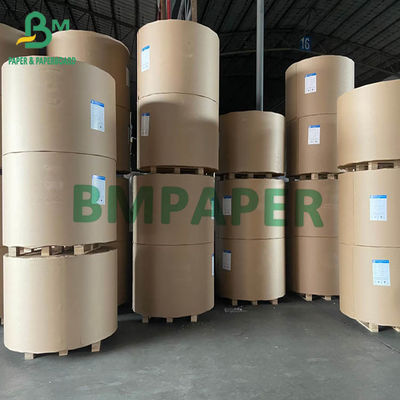 FBB SBS Ivory Board 200gsm hingga 400gsm 750mm 900mm Jumbo Rolls