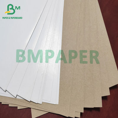 White Top Clay Coated Kraft Liner Board Paper 140g - 200g Untuk Kotak Karton