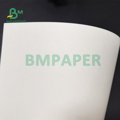 210gsm + 15g Karton Laminasi PE Untuk Cangkir Kertas Kualitas makanan 882mm