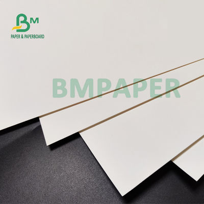 210gsm + 15g Karton Laminasi PE Untuk Cangkir Kertas Kualitas makanan 882mm