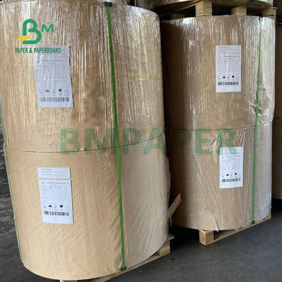 210gsm + 15g Karton Laminasi PE Untuk Cangkir Kertas Kualitas makanan 882mm