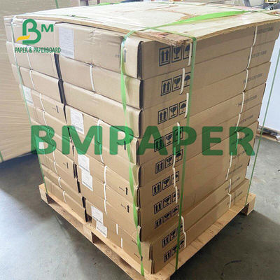 55 GSM Thermal Receipt Printer Paper Rolls BPA Gratis Untuk POS