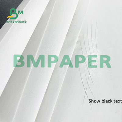 55 GSM Thermal Receipt Printer Paper Rolls BPA Gratis Untuk POS