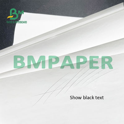 55 GSM Thermal Receipt Printer Paper Rolls BPA Gratis Untuk POS