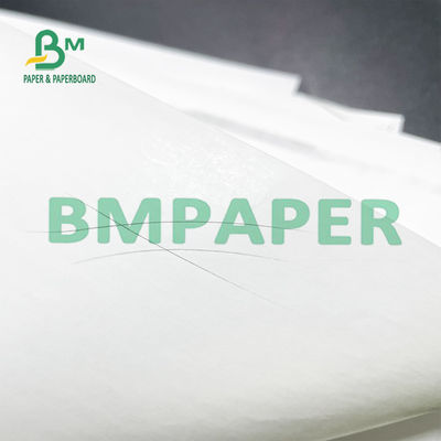 48 GSM Thermal Printer Paper Roll 50 Rolls A Grade Untuk Sistem POS