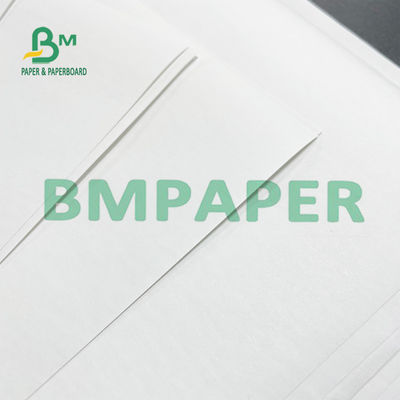 48 GSM Thermal Printer Paper Roll 50 Rolls A Grade Untuk Sistem POS
