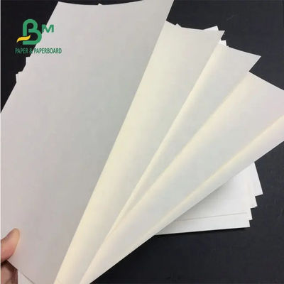 230g Dilapisi Bahan PE Tahan Air Cup Stok Kertas Polietilen Untuk Cangkir Kertas