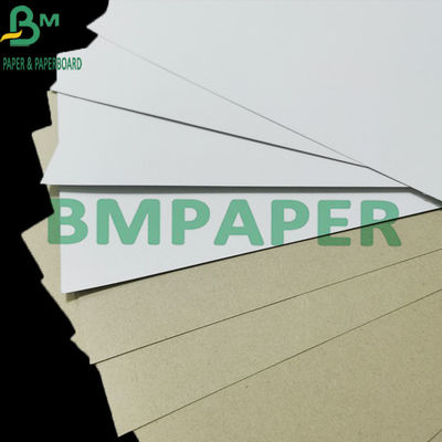 Kemasan 300gsm Duplex Coated Board With Grey Back C1S Anti Curl
