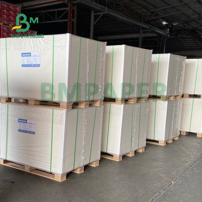 Kualitas makanan 135gsm+10gsm PE Coated Cup Paper Gloss Dan Matt Finish