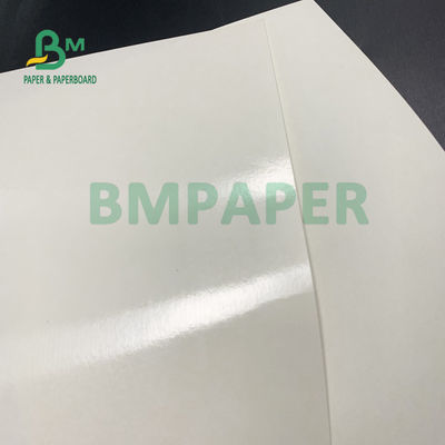 Kualitas makanan 135gsm+10gsm PE Coated Cup Paper Gloss Dan Matt Finish