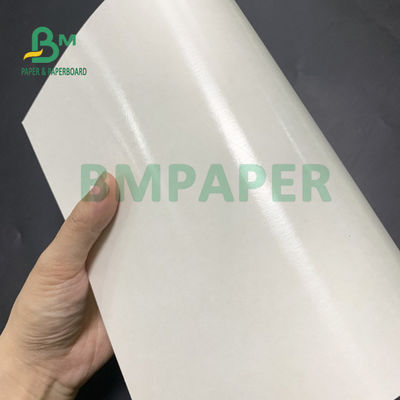 Kualitas makanan 135gsm+10gsm PE Coated Cup Paper Gloss Dan Matt Finish