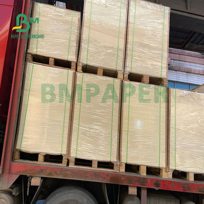 135gsm + 20gsm Polyethylene Coated Cup Base Paper Untuk Soup Bowl